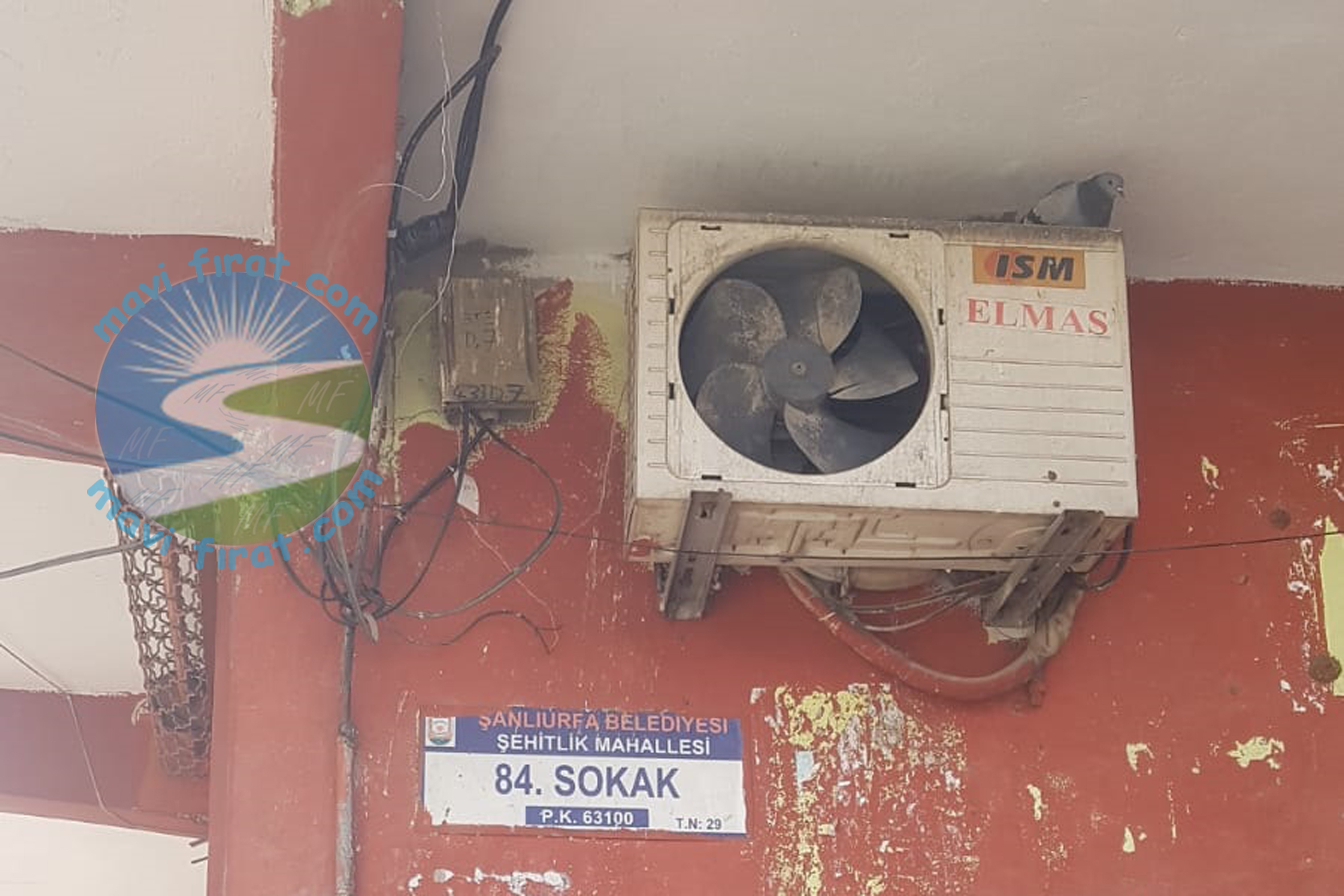 CANINI HİÇE SAYAN HIRSIZ ELEKTİRİK KABLOLARINI ÇALDI