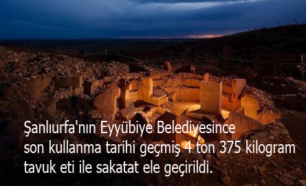 Şanlıurfa’da kullanma tarihi geçmiş 4 ton tavuk eti ve sakat at ele geçirildi