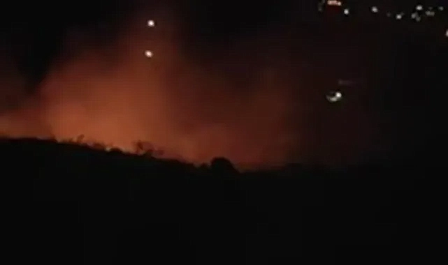 Şanlıurfa’da ağaçlık alanda yangın!
