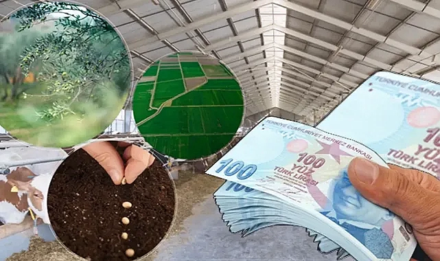 Çiftçilerin beklediği haber geldi!