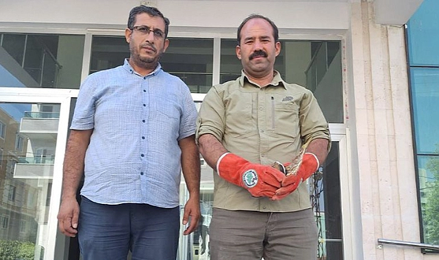 Urfa’da bir vatandaş tarafından yaralı halde bulundu!