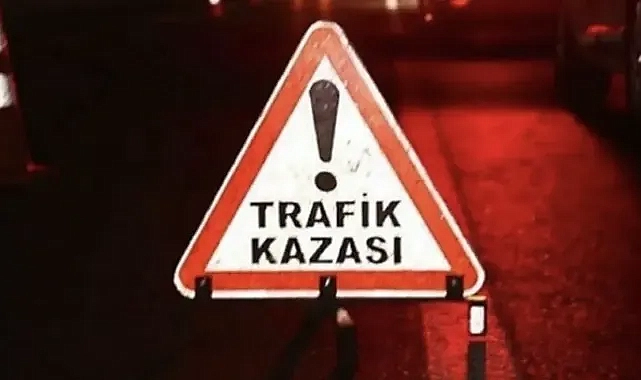 Urfa’da kaza! Otomobil koyun sürüsünün arasına daldı!