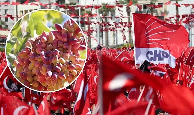 Urfa Milletvekili Tanal davet etti! CHP, Antep’te ‘Fıstık Mitingi’ düzenleyecek!