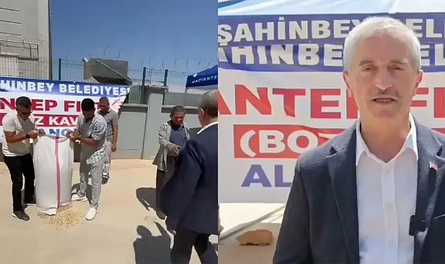 Urfalı çiftçi muhatap bulamıyor! Antep’teki belediye fıstık alımına başladı!