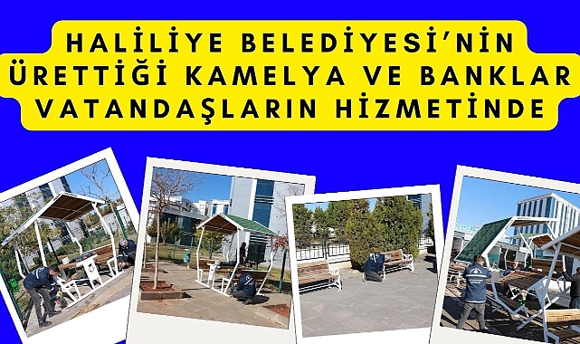 Haliliye Belediyesi’nin Ürettiği Kamelya ve Banklar Vatandaşların Hizmetinde