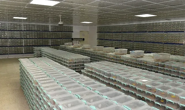 Urfa’dan ‘zehir’ alıyorlar!