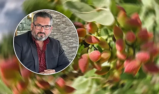 Akbaş, fıstık için destekleme istedi!
