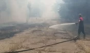 Atatürk Barajı’nda orman yangını!