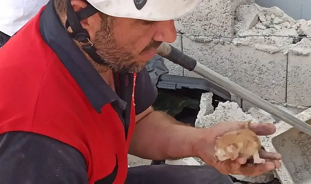 Minik kedinin imdadına itfaiye yetişti!