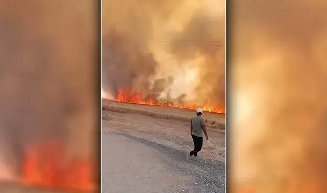 Alev alev yandı! Urfa’da korku dolu anlar!