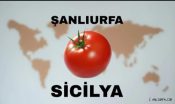 Urfa ve Sicilya arasında dikkat çeken benzerlik!