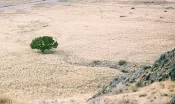 Urfa’yı da vurdu! Yardım çağrısı!