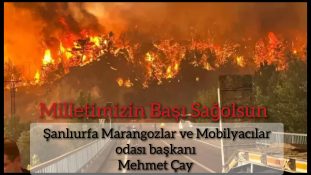 Şanlıurfa Marangozlar ve Mobilyacılar Odası Başkanı Mehmet Çay’dan Taziye Mesajı