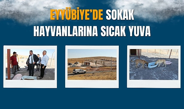 Eyyübiye’de Hayvan Bakımevi Hizmete Giriyor