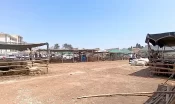 Hayvan pazarlarıyla ilgili flaş gelişme! Kapatıldı