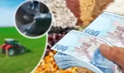 Şanlıurfa da aralarında! 42 milyon euroluk destek