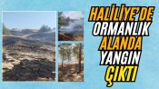 Osmanbey Kampüsü’nde Ormanlık Alanda Yangın