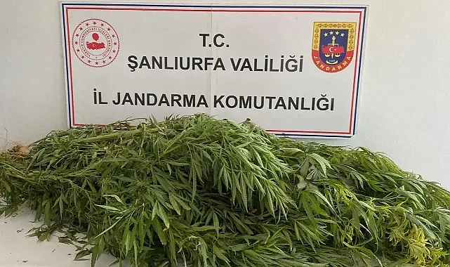 Şanlıurfa’da belirlenen adreslere baskın! 2 şüpheli gözaltında!
