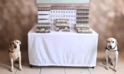 Urfa’nın iki ilçesinde kaçak operasyonu!