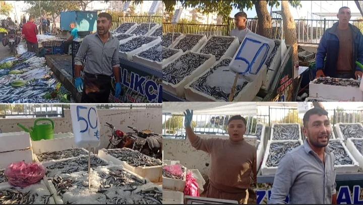 Şanlıurfa’da Karadeniz Hamsi 50 TL Bereketi