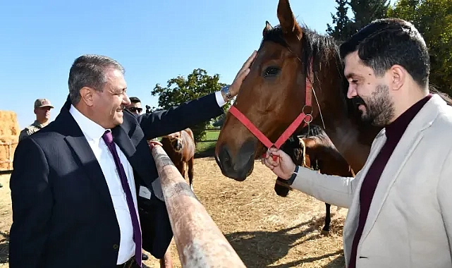 4 bin 500 yarış atı yetiştiriliyor! Şanlıurfa Valisi Şıldak, sektör temsilcileriyle buluştu!