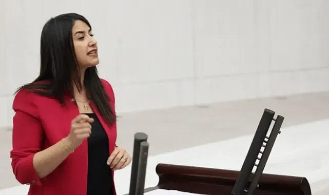 Bozova’da 15 Yaşındaki Çocuğun Kompresör İşkencesiyle Ölümü Meclis Gündeminde: Araştırma Önergesi Verildi