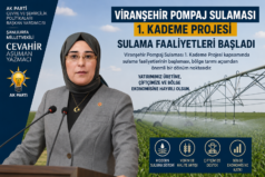 Milletvekili Yazmacı: “Viranşehir’de 140 bin dekarlık alan suyla buluşuyor”