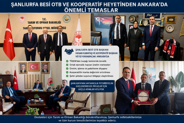 Şanlıurfa Besi OTB ve Kooperatif Heyetinden Ankara’da Güçlü Temaslar